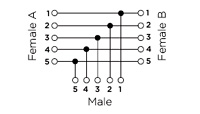 1838897-1 TE Connectivity